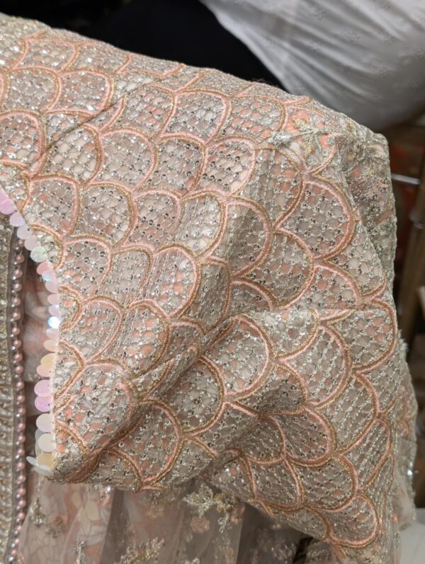 Blush Embroidered Saree for rent - Image 3